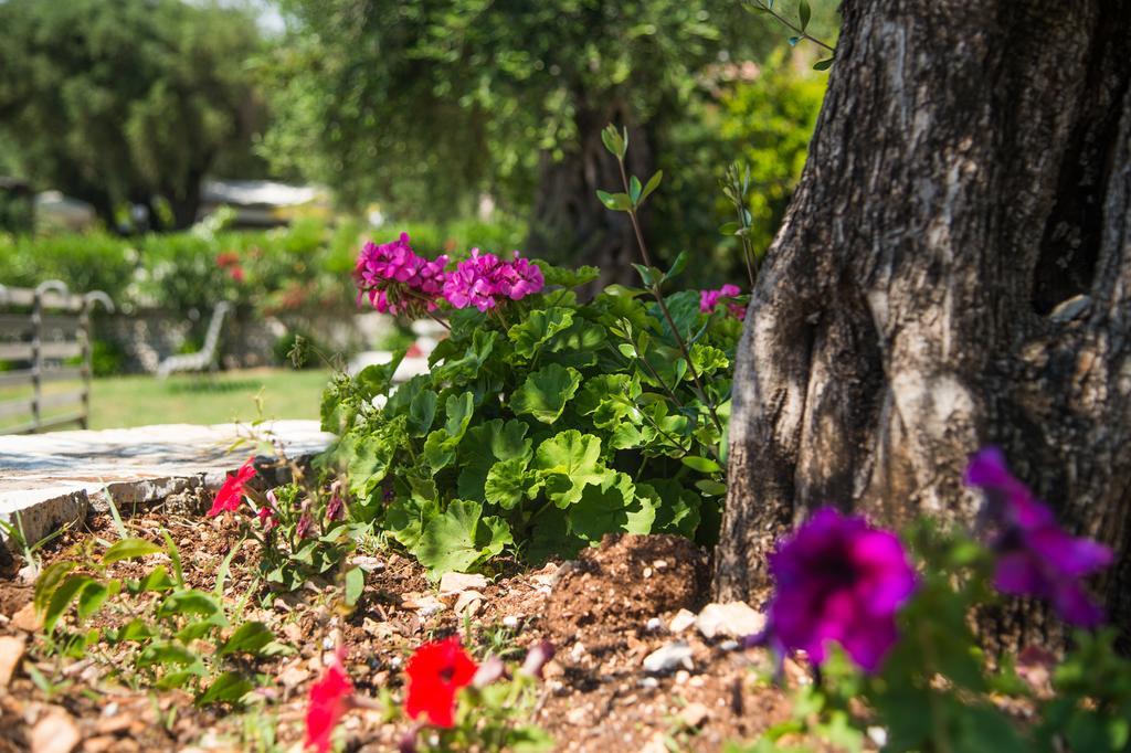 Krouzeri Beach Apartments Nisaki  Bilik gambar